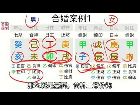 董字 八字情絲怎麼看